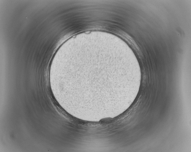 X0000115151242200912081340