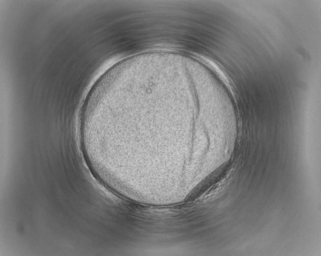 X0000115151243200912081340