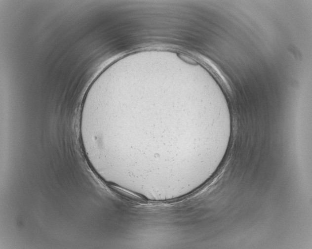 X0000115151244200912081340