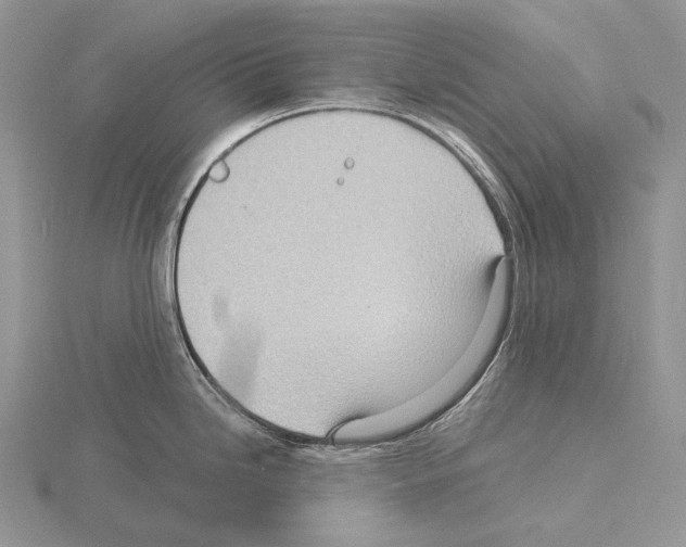 X0000115151246200912081340