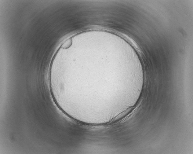 X0000115151247200912081340