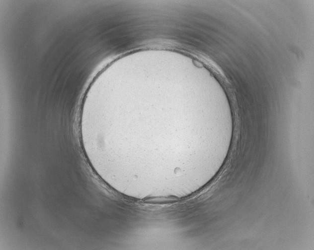 X0000115151248200912081340