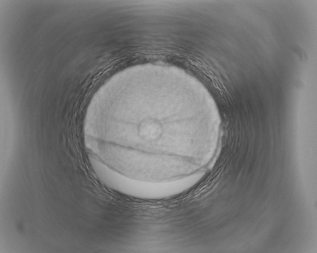 X0000115151249200912081339