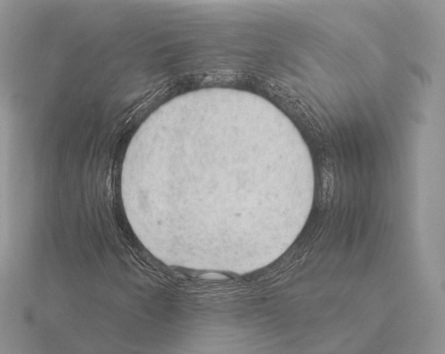 X0000115151250200912081339