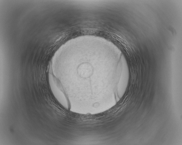 X0000115151252200912081339