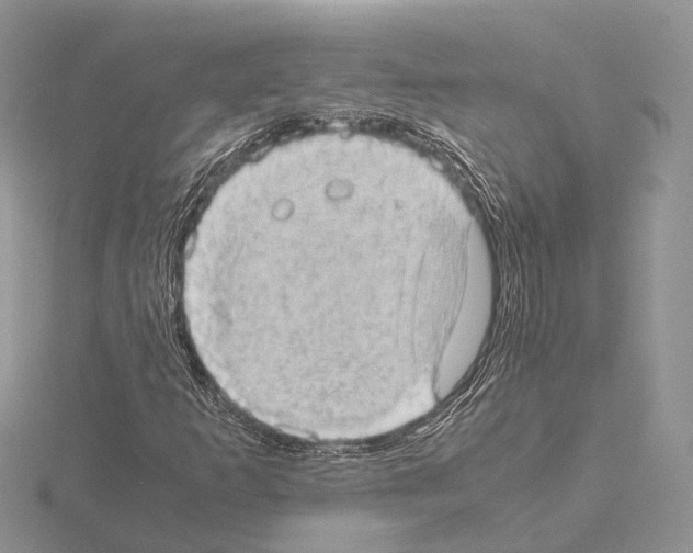 X0000115151253200912081339