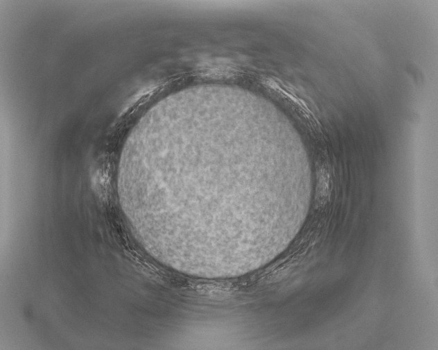 X0000115151254200912081339