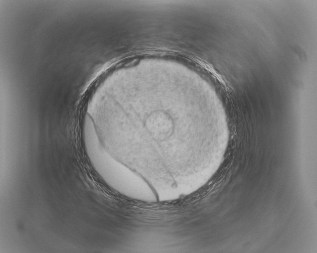 X0000115151256200912081339