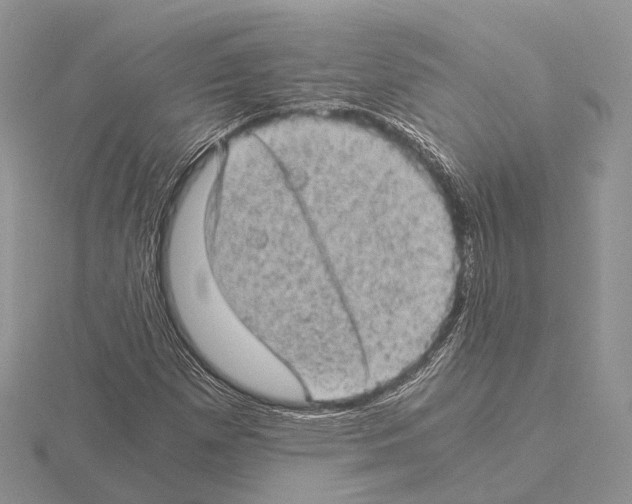 X0000115151257200912081339