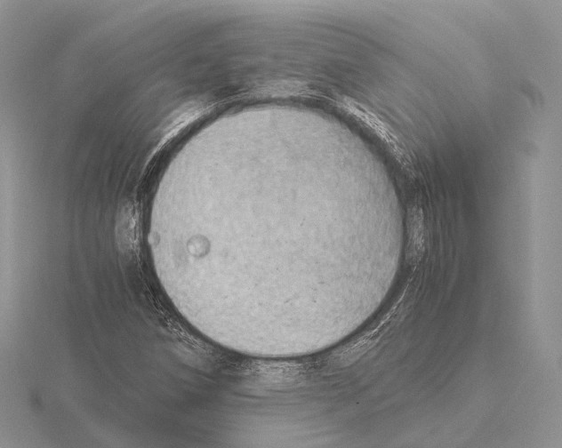 X0000115151258200912081339