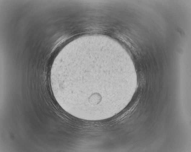 X0000115151259200912081339