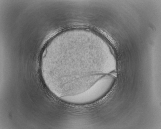 X0000115151261200912081339