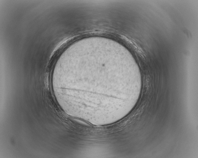 X0000115151262200912081339