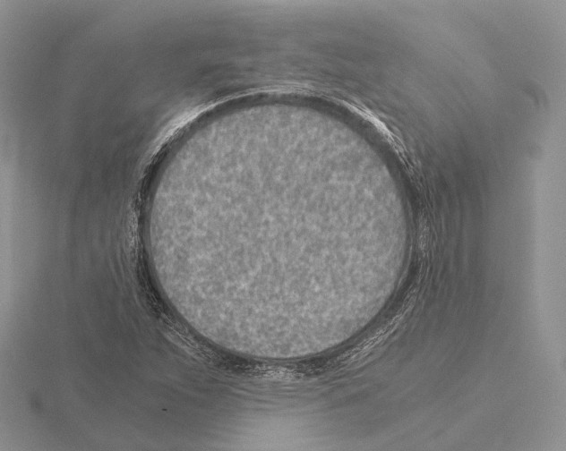 X0000115151263200912081339