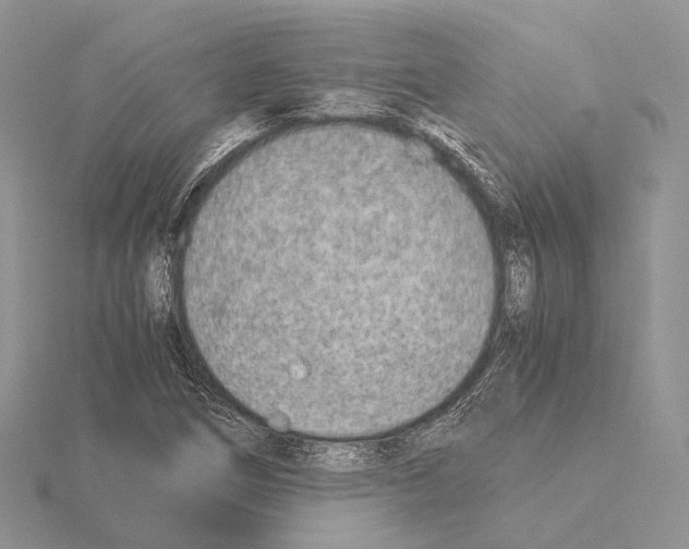 X0000115151266200912081339