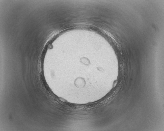 X0000115151267200912081339