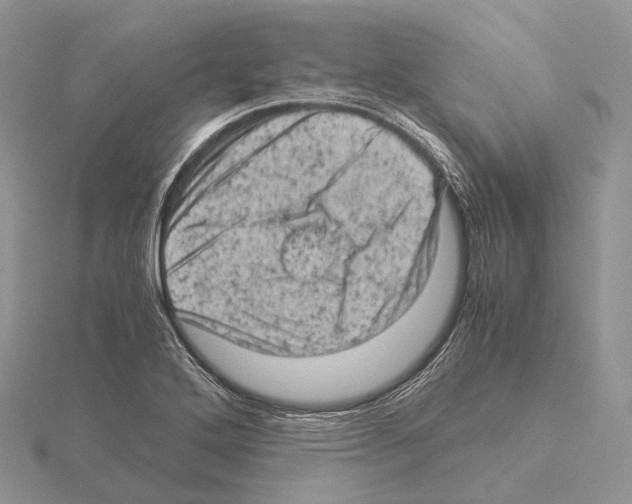 X0000115151272200912081339