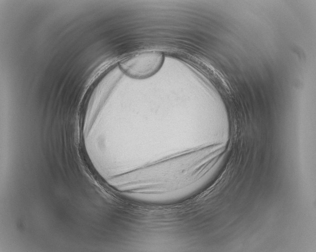 X0000115151274200912081339