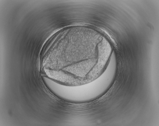 X0000115151276200912081339