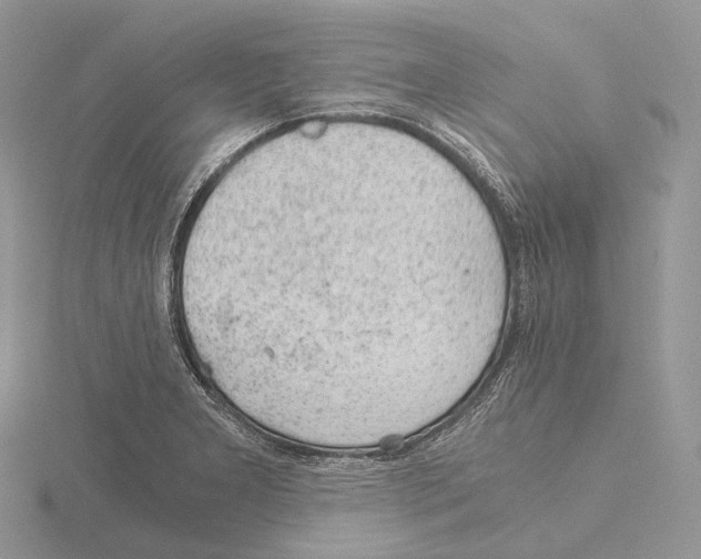 X0000115151277200912081339