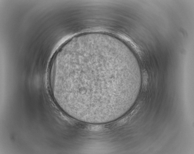 X0000115151278200912081339