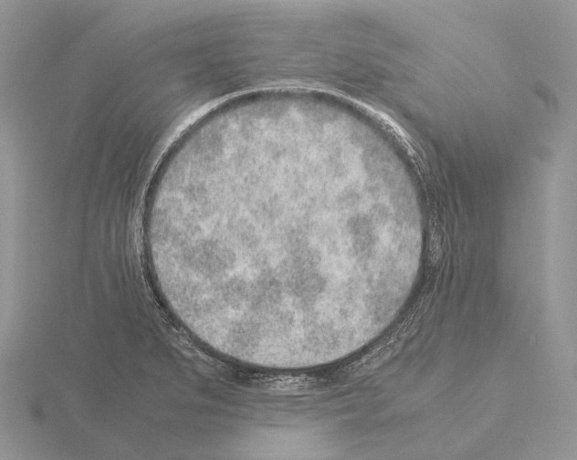 X0000115151279200912081339