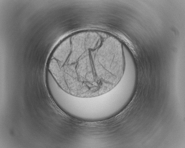 X0000115151280200912081339