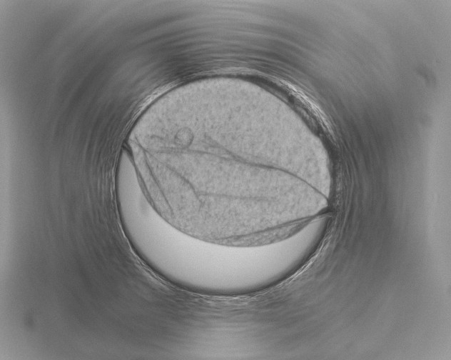 X0000115151281200912081339