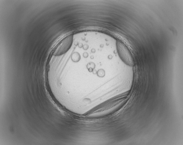 X0000115151282200912081339