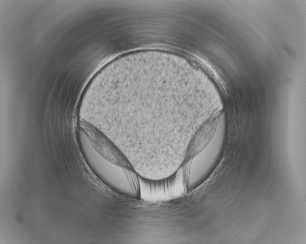 X0000115151284200912081339