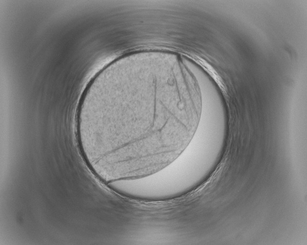 X0000115151285200912081339