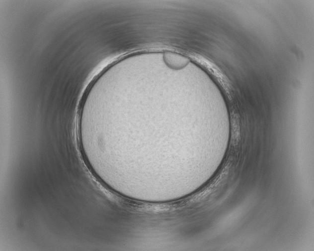 X0000115151286200912081339