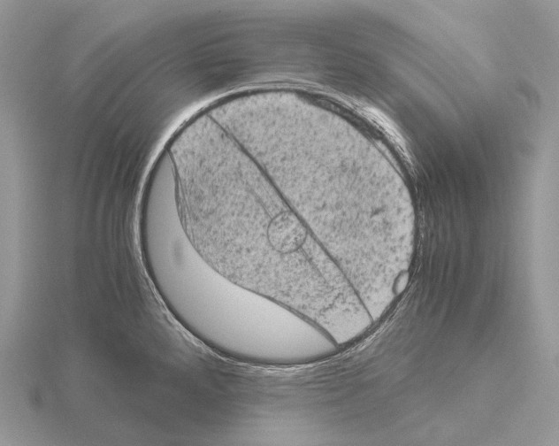 X0000115151288200912081339