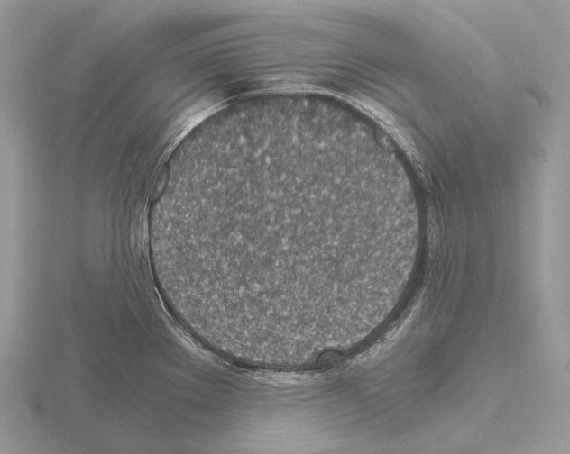 X0000115151289200912081339