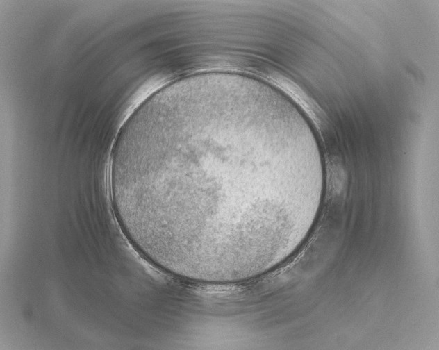 X0000115151290200912081339