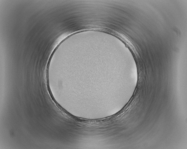 X0000115151291200912081339