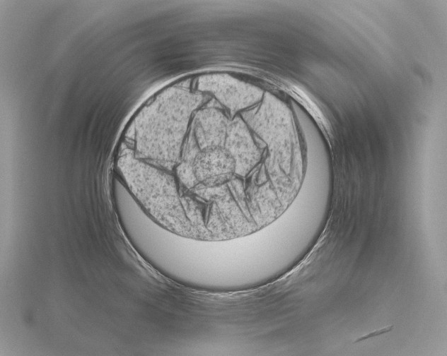 X0000115151292200912081339