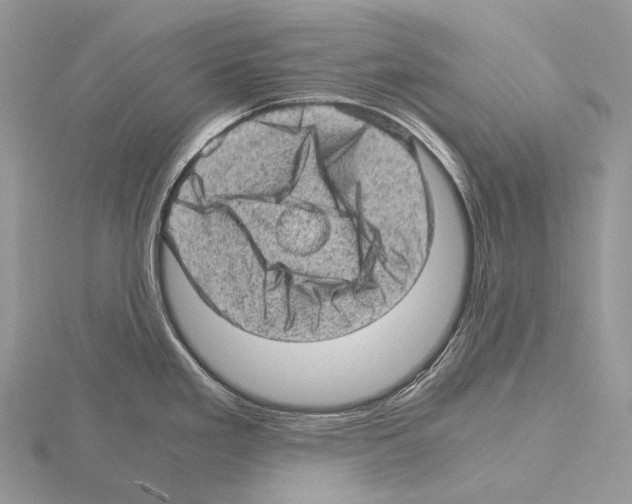 X0000115151293200912081339