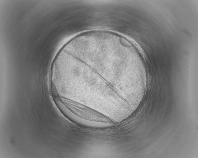 X0000115151295200912081339