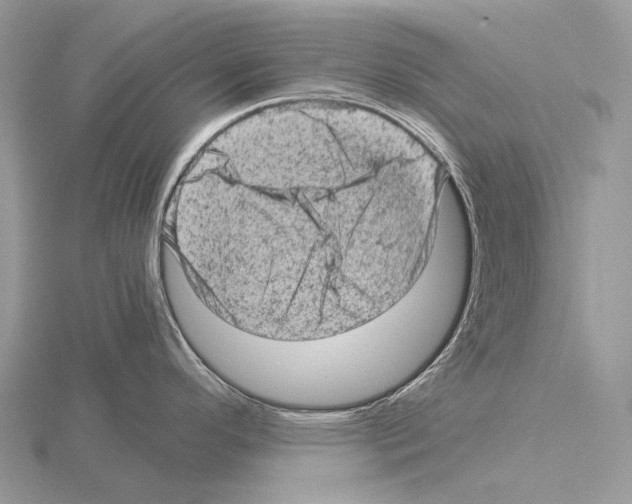 X0000115151296200912081339