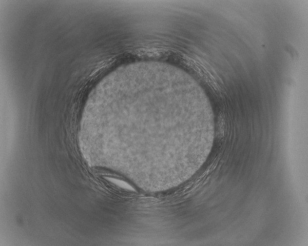 X0000115151297200912081338