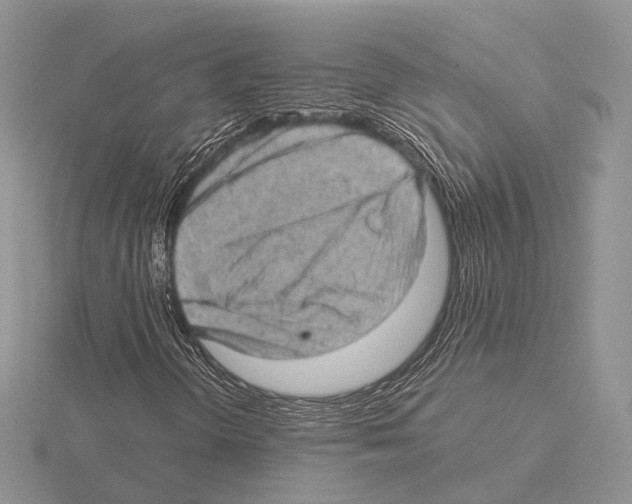 X0000115151298200912081338