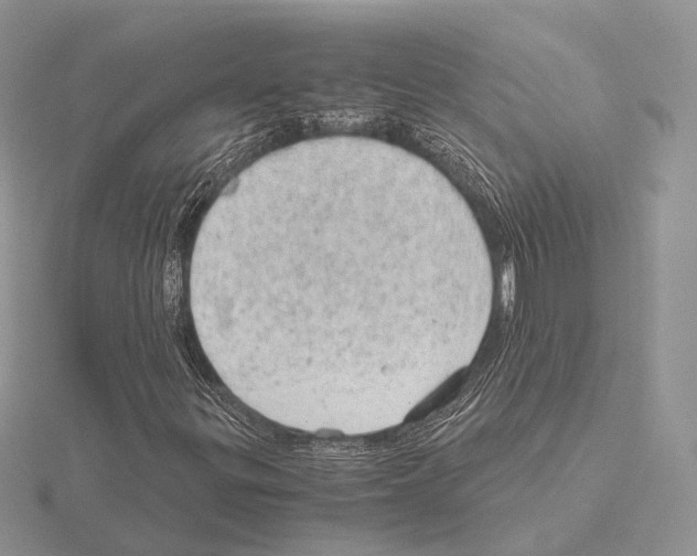 X0000115151299200912081338