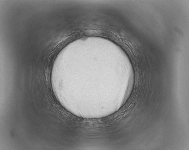 X0000115151301200912081338