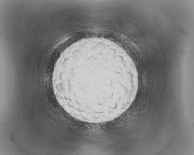 X0000115151302200912081338