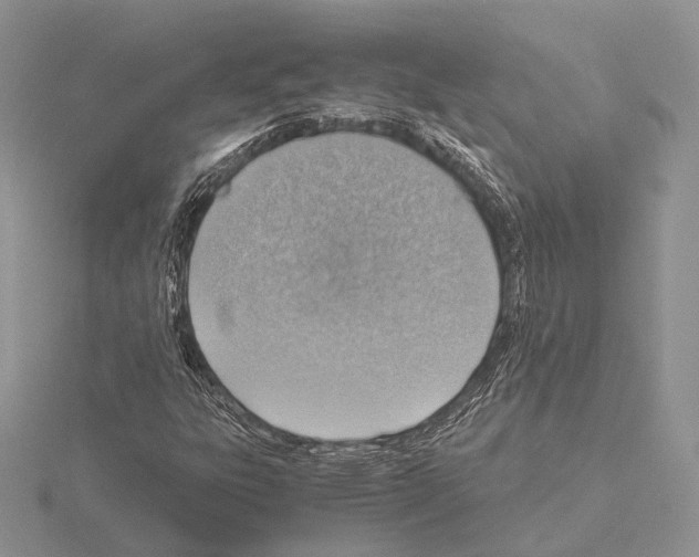 X0000115151303200912081338