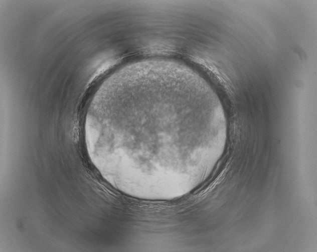 X0000115151306200912081338