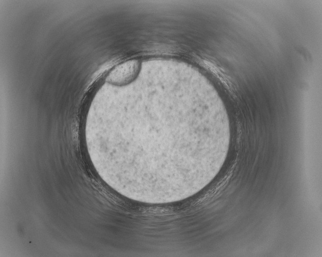 X0000115151307200912081338