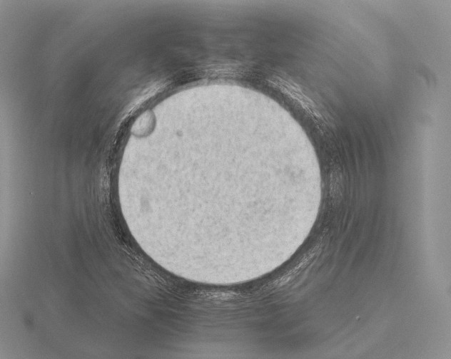 X0000115151309200912081338