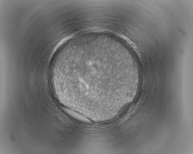 X0000115151314200912081338